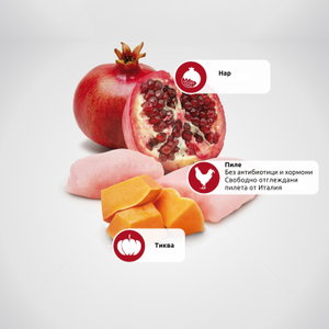 N&D Pumpkin Dog 2.500 кг Pumpkin Puppy Medium&Maxi Chicken & Pomegranate