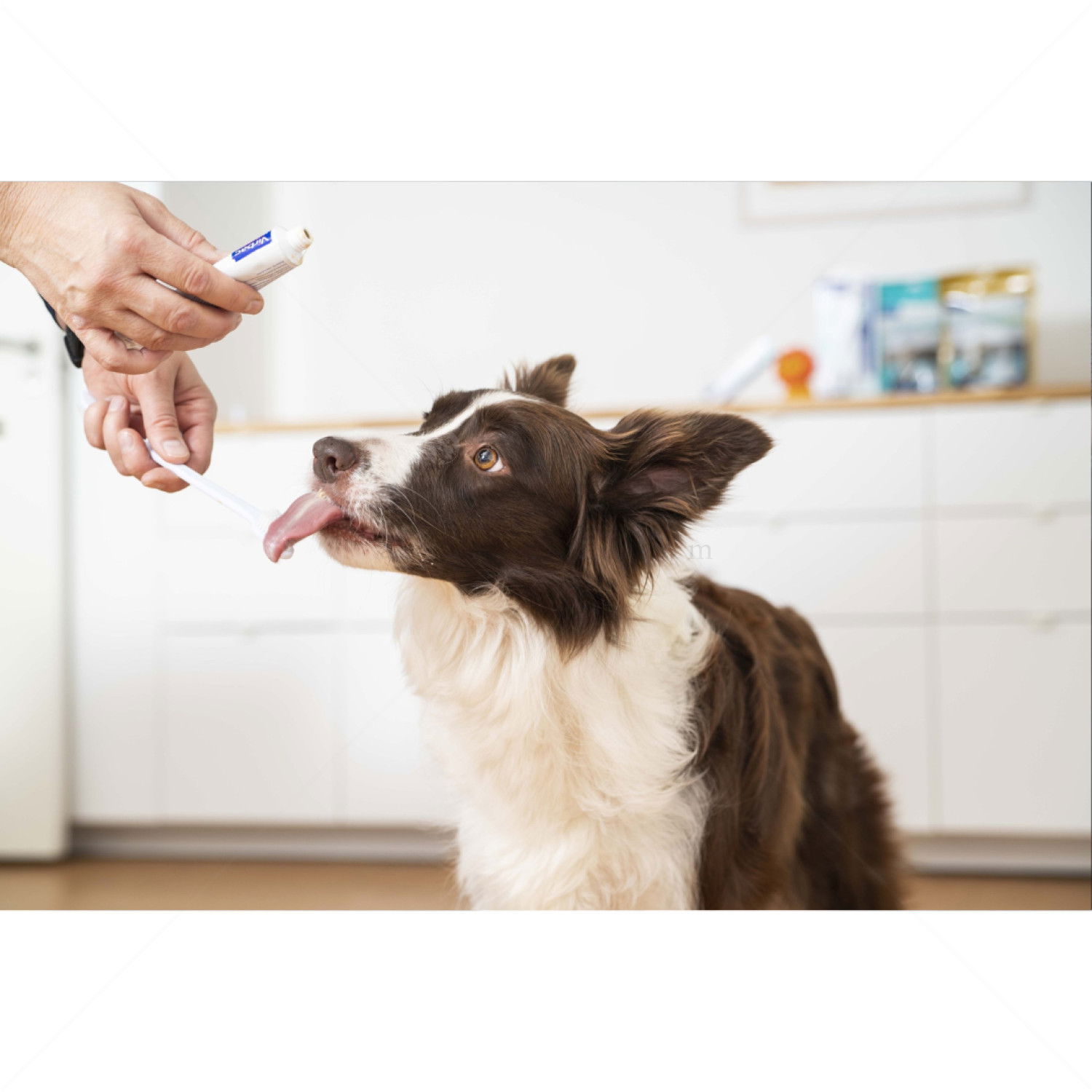 Паста за зъби с вкус на птиче месо VIRBAC Enzymatic Toothpaste Poultry flavour