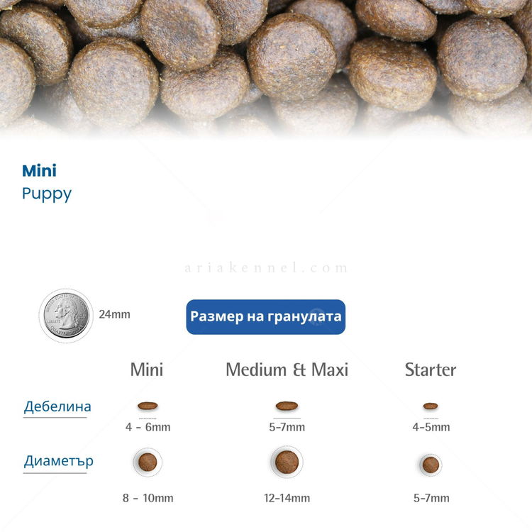 N&D Dog 0.800 кг Pumpkin Puppy Mini Lamb & Blueberry