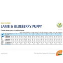N&D Dog 7 кг Pumpkin Puppy Mini Lamb & Blueberry