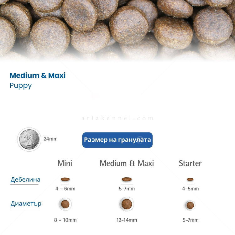 N&D Dog 2.500 кг Pumpkin Puppy Medium&Maxi Lamb & Blueberry