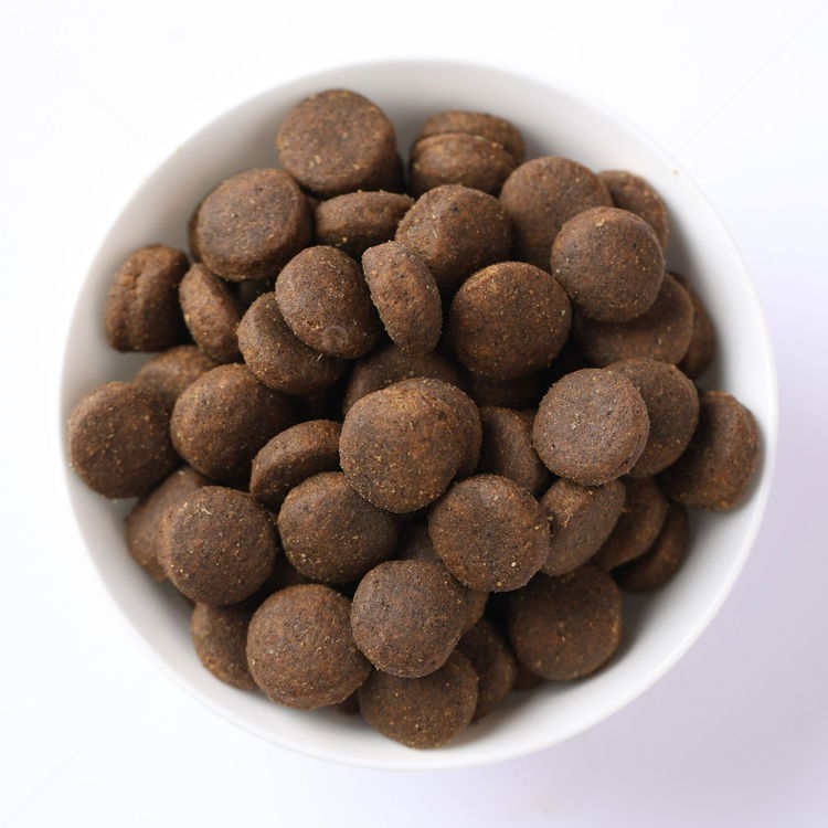 N&D Dog 12 кг Pumpkin Puppy Medium&Maxi Lamb & Blueberry