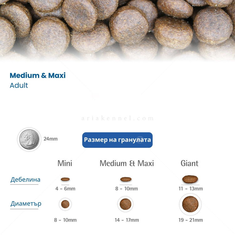 N&D Dog 12 кг Pumpkin Adult Medium&Maxi Lamb & Blueberry