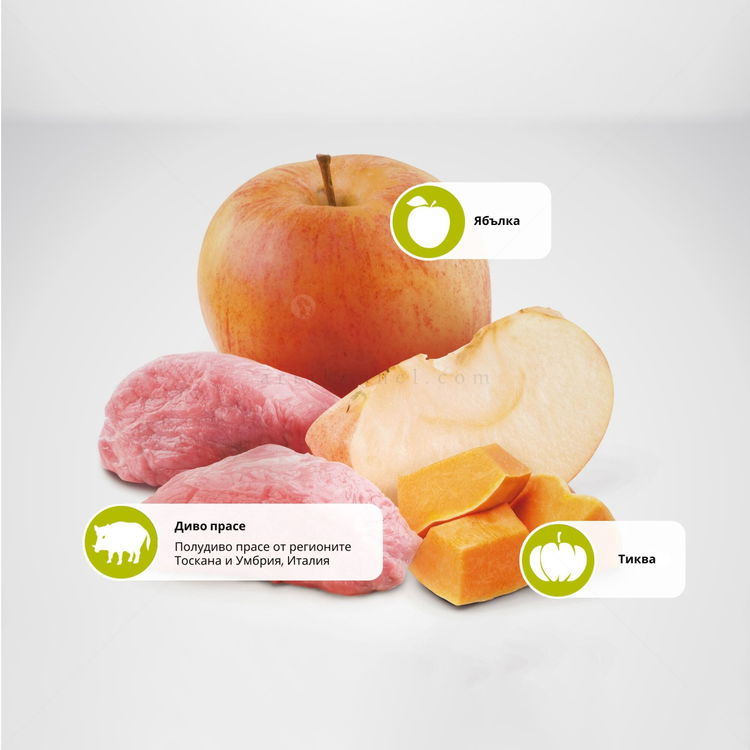 N&D Dog 0.800 кг Pumpkin Adult Mini Boar & Apple