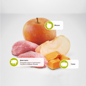 N&D Dog 7 кг Pumpkin Adult Mini Boar & Apple