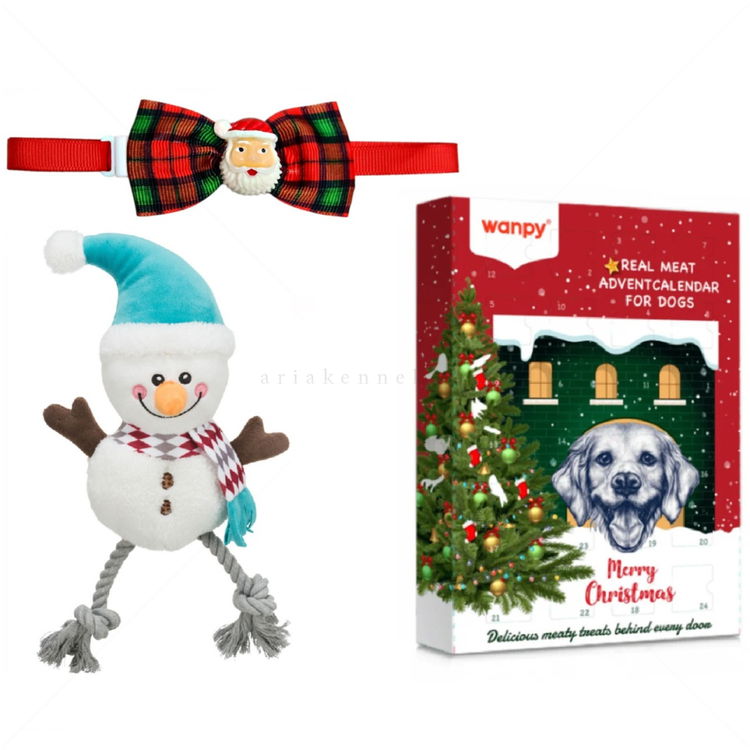 Сет от коледен календар с лакомства, папийонка и играчка Merry Christmas