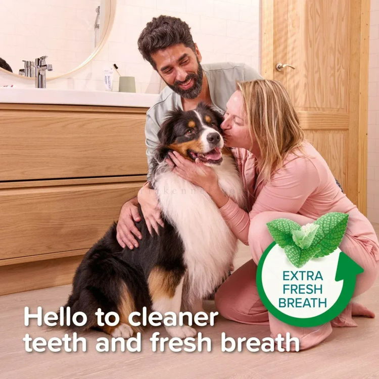 Паста за зъби с вкус на черен дроб, мента и магданоз BEAPHAR