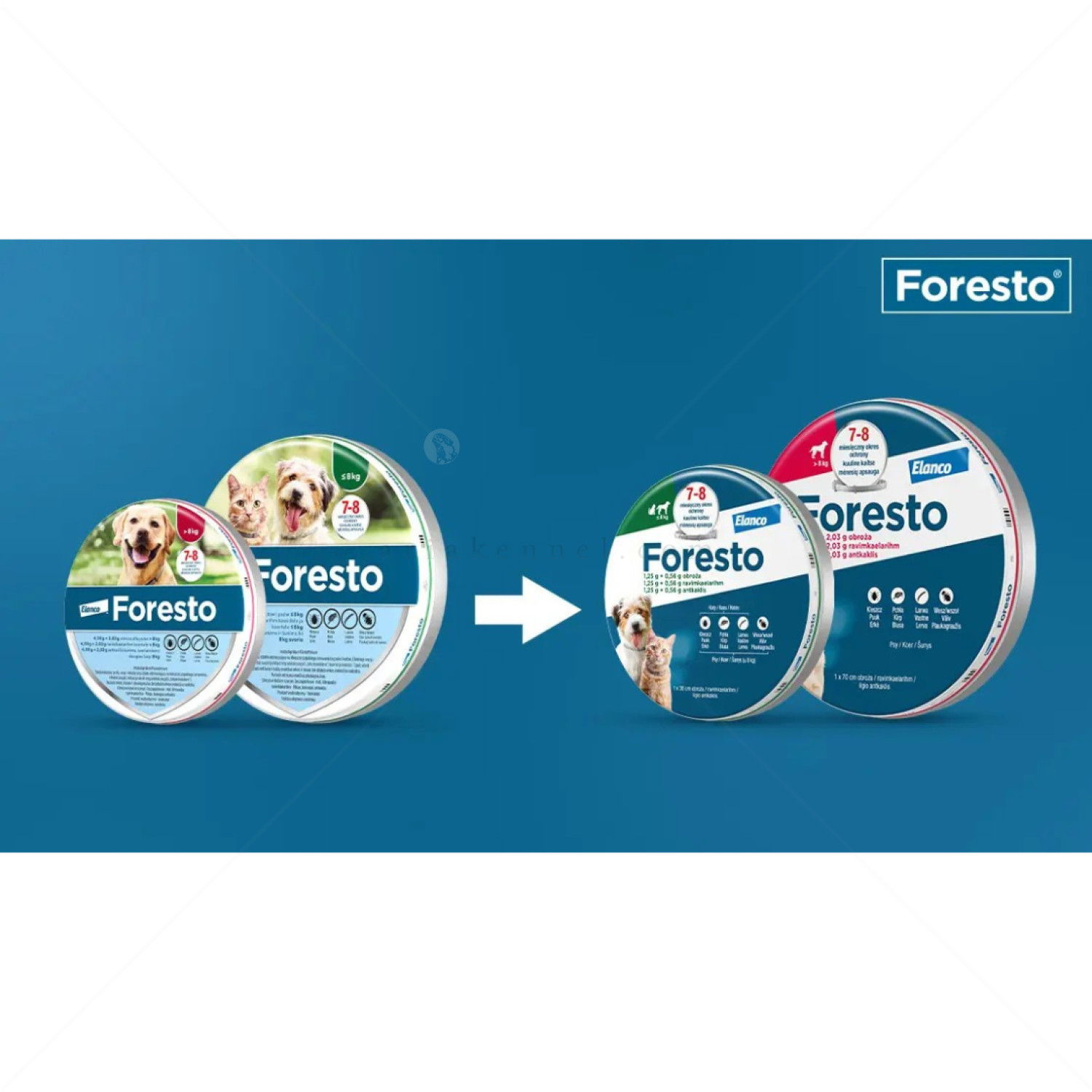 Противопаразитна каишка за куче и котка FORESTO 38 см