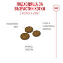 ROYAL CANIN 0.400 кг Fussy Exigent