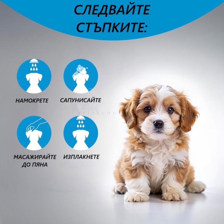 Шампоан за малки кученца ARTERO Baby