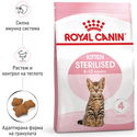 ROYAL CANIN 2 кг. Kitten Sterilised