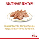 Пауч за израснали померани ROYAL CANIN Pomeranian Adult
