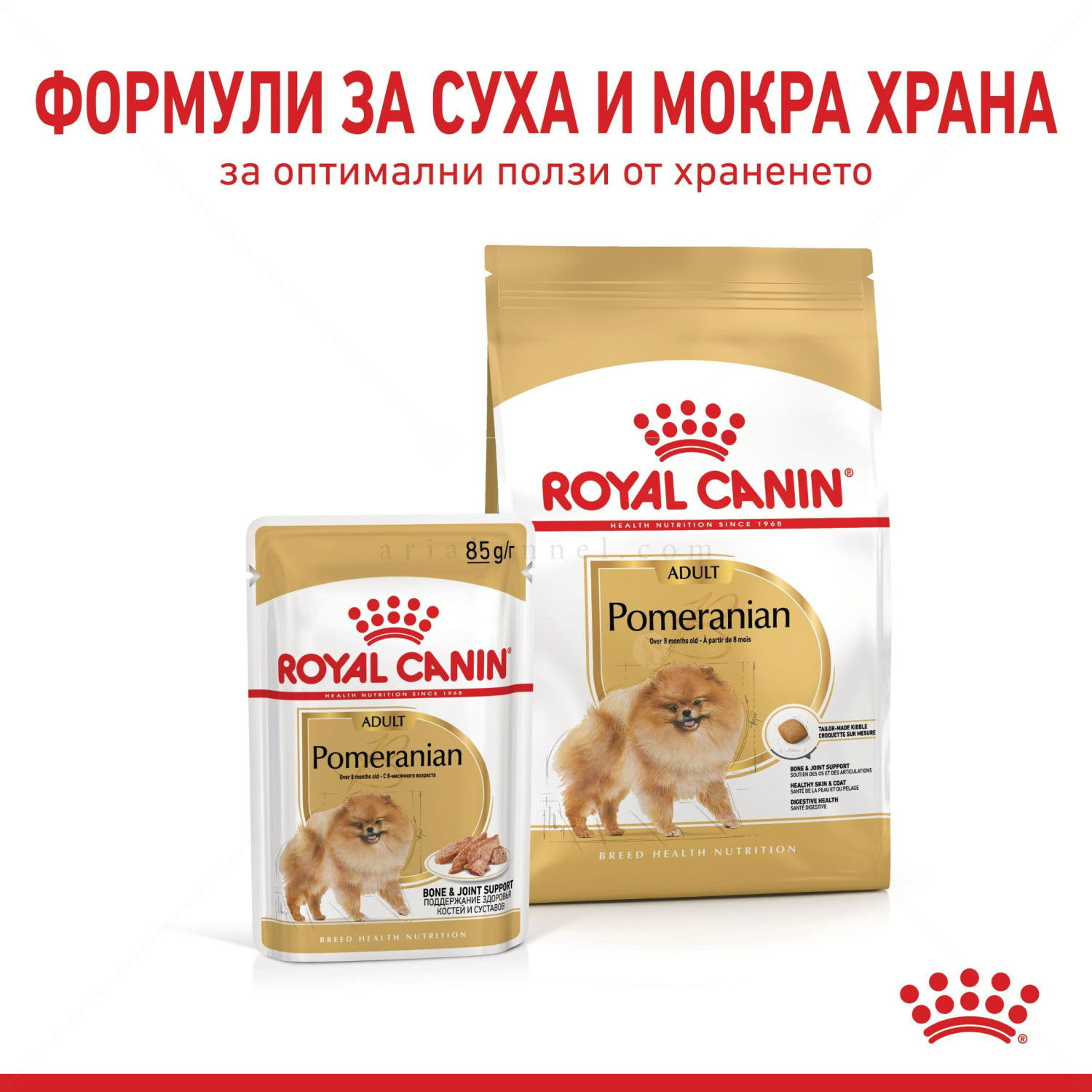 Пауч за израснали померани ROYAL CANIN Pomeranian Adult