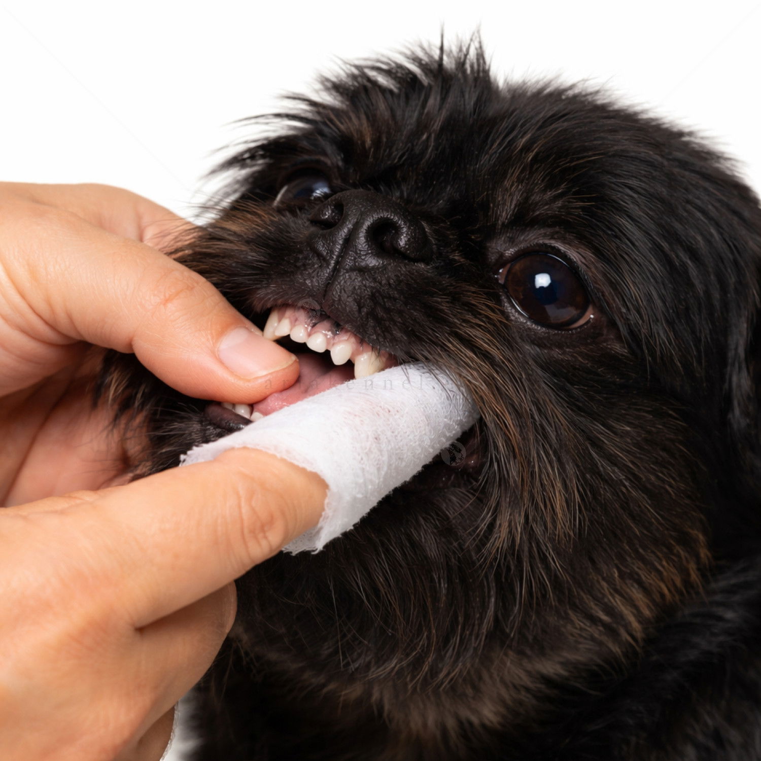 ARTERO Напръстници за почистване на зъби, 50 бр