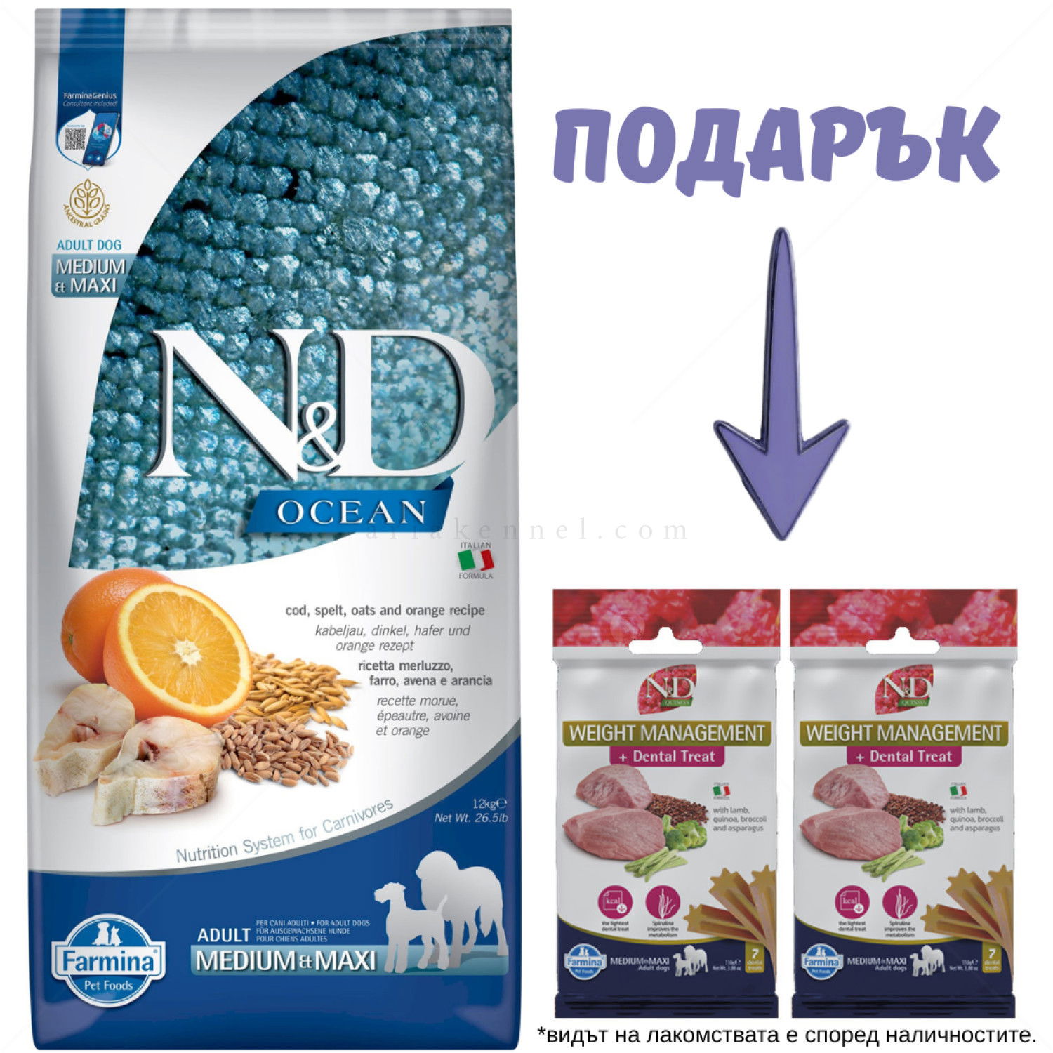 N&D Ocean Dog 12 кг Pumpkin Adult Medium&Maxi Codfish & Orange