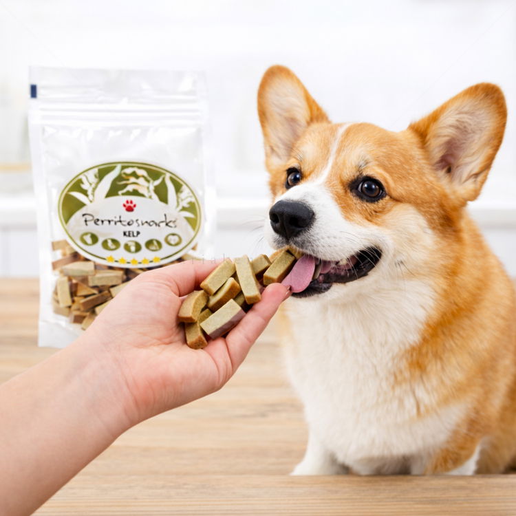 Малки ленти с пилешко месо, риба и кафяви водорасли PERRITO Everyday