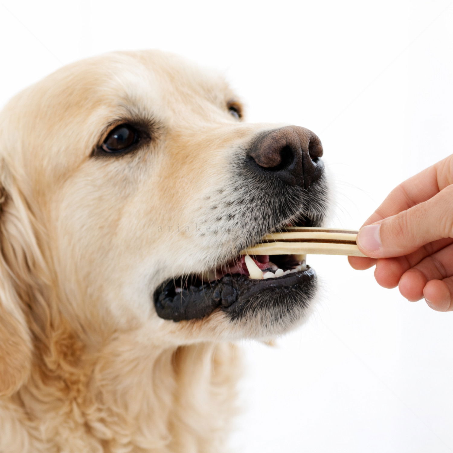 Сандвич с пилешко месо, риба и кафяви водорасли PERRITO Everyday