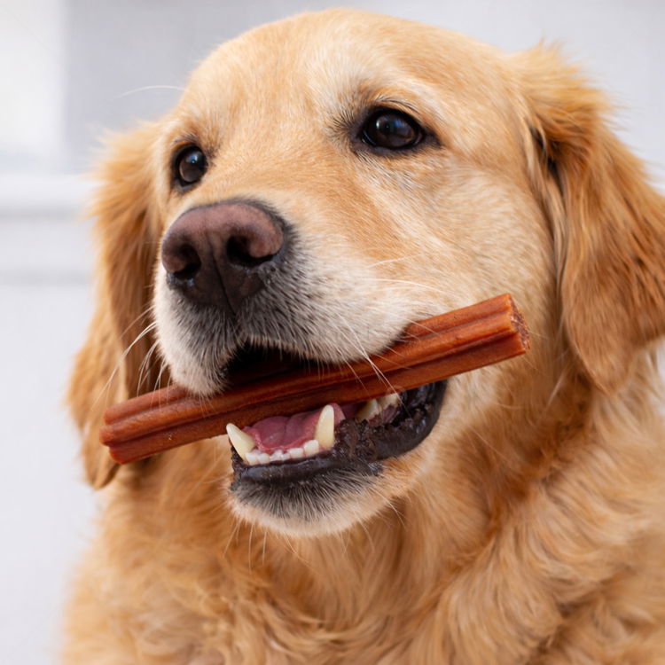 Дентални пръчки с пилешко месо PERRITO Everyday