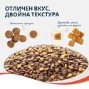 WANPY Grain Free Adult 8 кг със сьомга