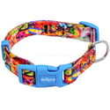 Нашийник ANIPRO Soft Touch Dog Of The City, размер L с тюркоазена тока