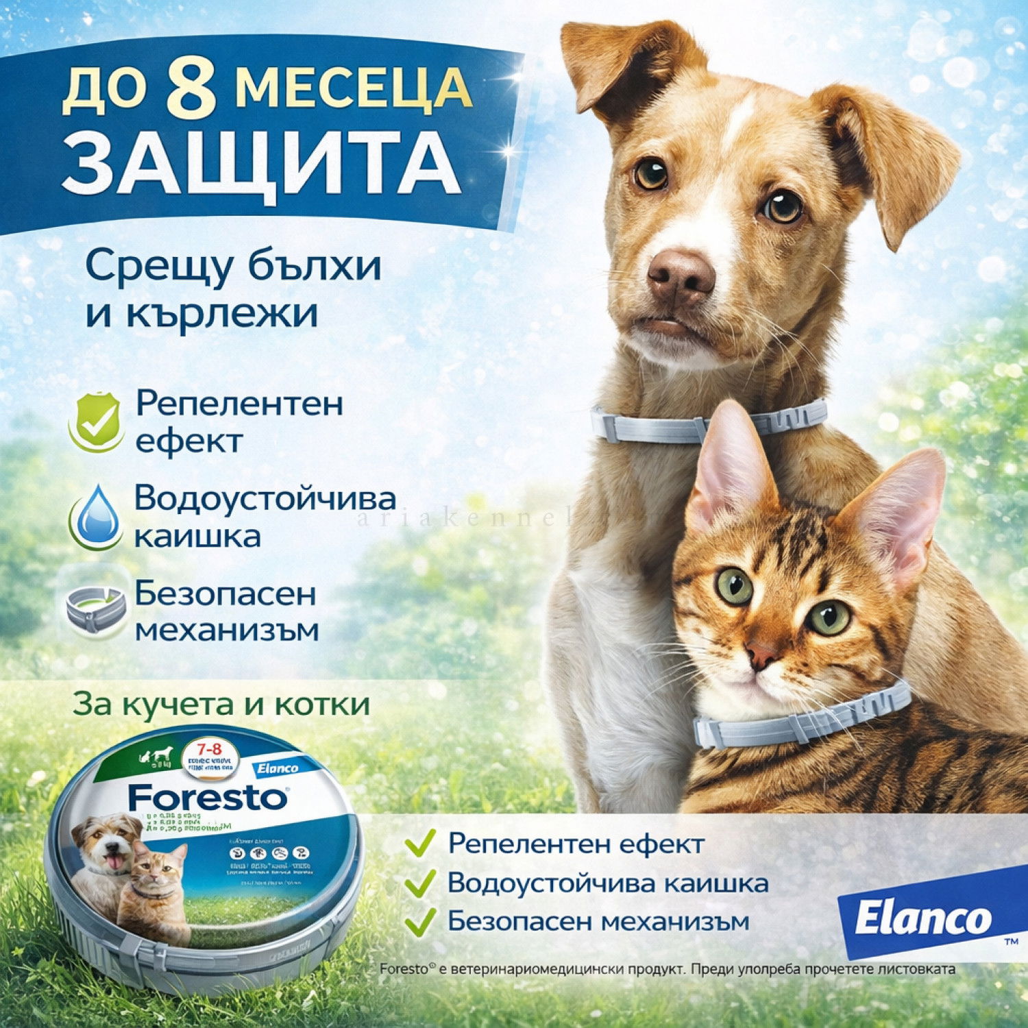 Противопаразитна каишка за куче и котка FORESTO 38 см