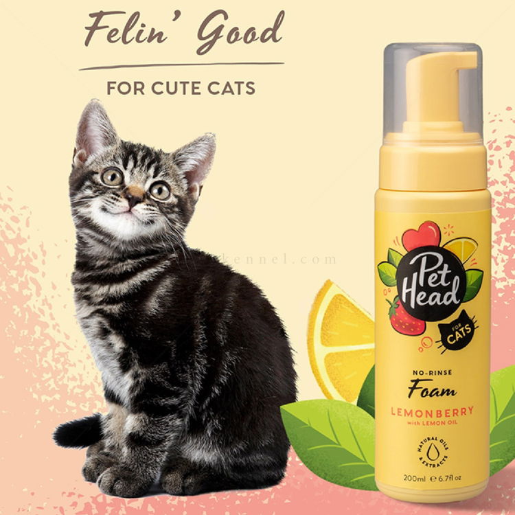 Шампоан-пяна без отмиване за котки с масло от лимон и алое вера PET HEAD Felin Good No-Rinse Foam