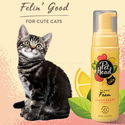Шампоан-пяна без отмиване за котки с масло от лимон и алое вера PET HEAD Felin Good No-Rinse Foam