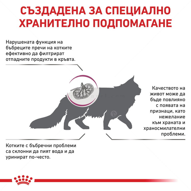 ROYAL CANIN Veterinary Cat Renal Special 400 гр