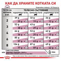 ROYAL CANIN Veterinary Cat Renal Special 400 гр