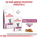 ROYAL CANIN Veterinary Cat Renal Special 400 гр