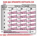 ROYAL CANIN Veterinary Cat Renal Special 2 кг