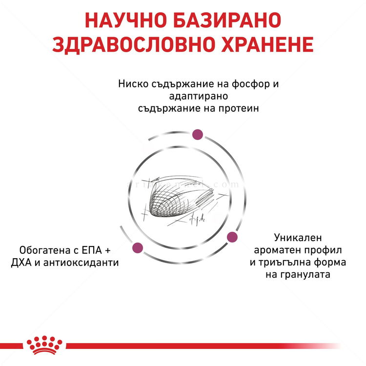 ROYAL CANIN Veterinary Cat Renal Special 4 кг