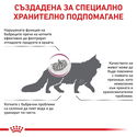 ROYAL CANIN Veterinary Cat Renal Special 4 кг