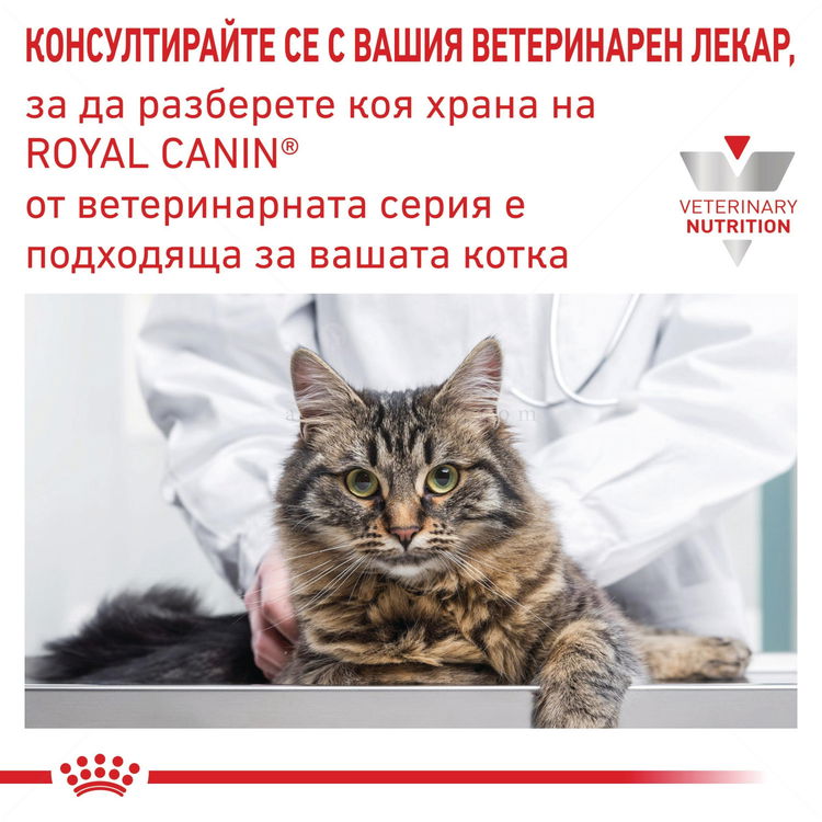 ROYAL CANIN Veterinary Cat Renal Special 4 кг