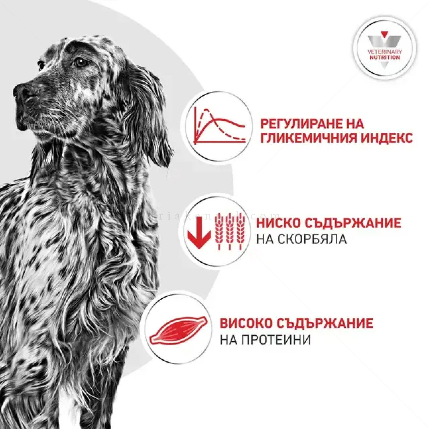 ROYAL CANIN Veterinary Dog Glycobalance 12 кг