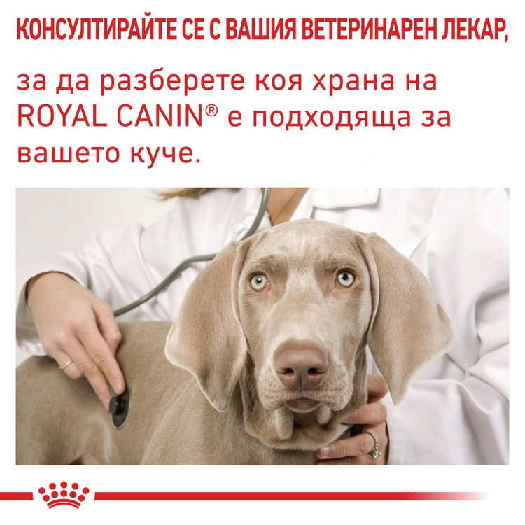 ROYAL CANIN Vet Expert Neutered Adult Small Dog 1.500 кг