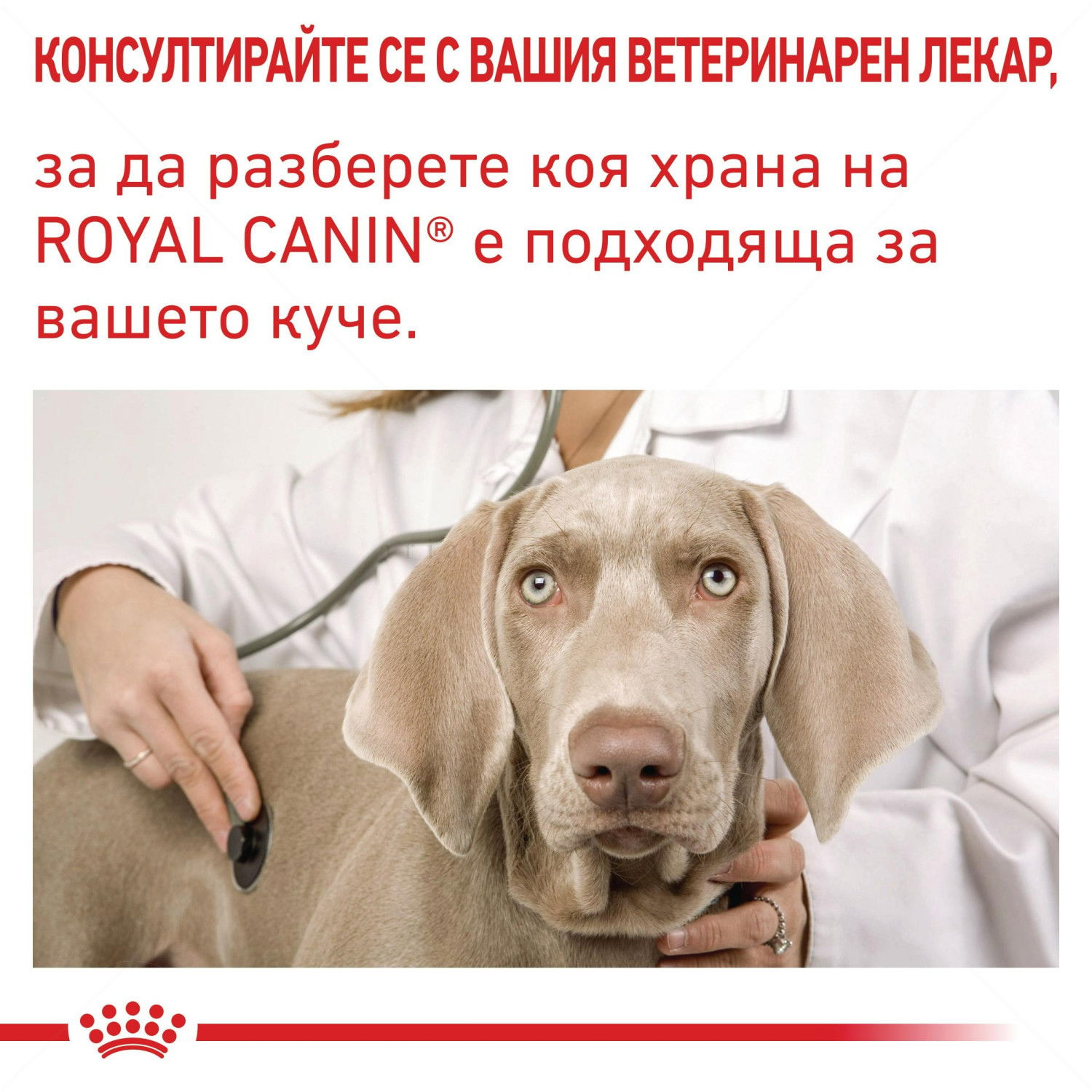 ROYAL CANIN Vet Expert Neutered Adult Small Dog 3.500 кг