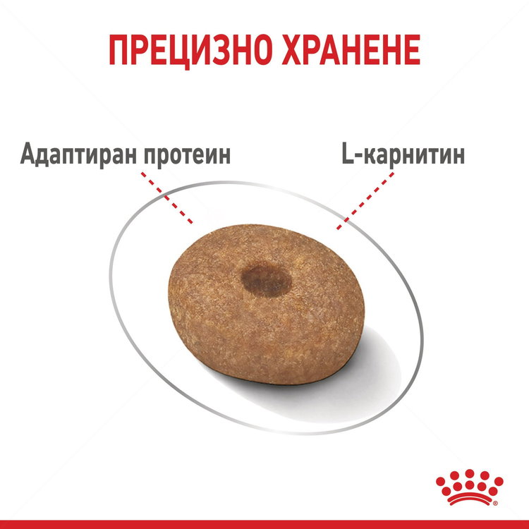 ROYAL CANIN Mini Light Weightcare - 1 кг