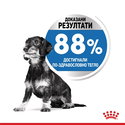 ROYAL CANIN Mini Light Weightcare - 8 кг