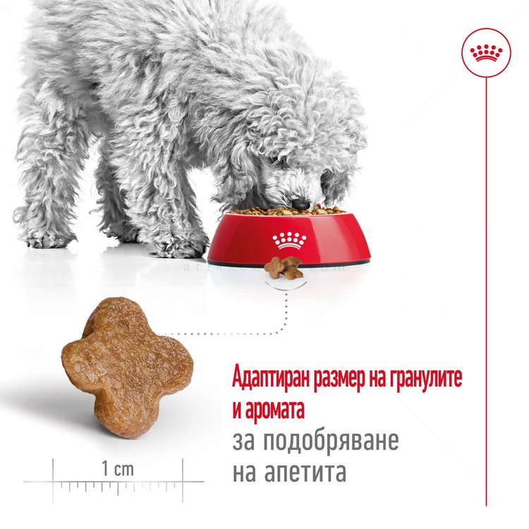 ROYAL CANIN Mini Adult 8+ - 2 кг