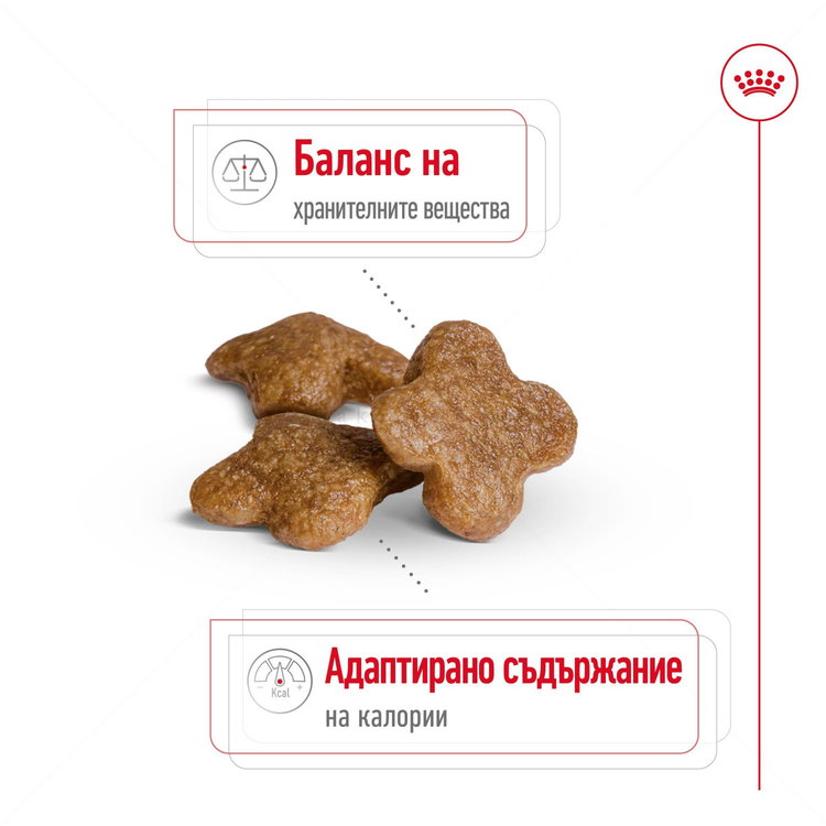 ROYAL CANIN Mini Adult 8+ - 8 кг