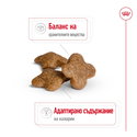 ROYAL CANIN Mini Adult 8+ - 8 кг