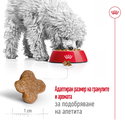 ROYAL CANIN Mini Adult 8+ - 8 кг