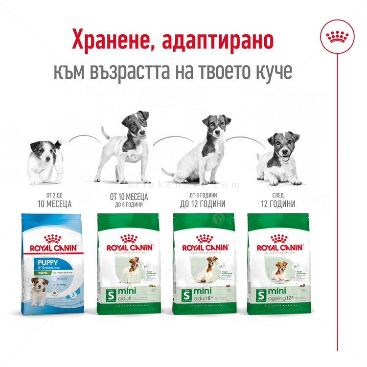 ROYAL CANIN Mini Adult 8+ - 8 кг