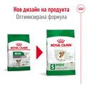 ROYAL CANIN Mini Ageing 12+ - 1.5 кг