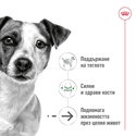 ROYAL CANIN Mini Ageing 12+ - 1.5 кг