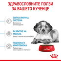 ROYAL CANIN Medium Puppy - 3 кг