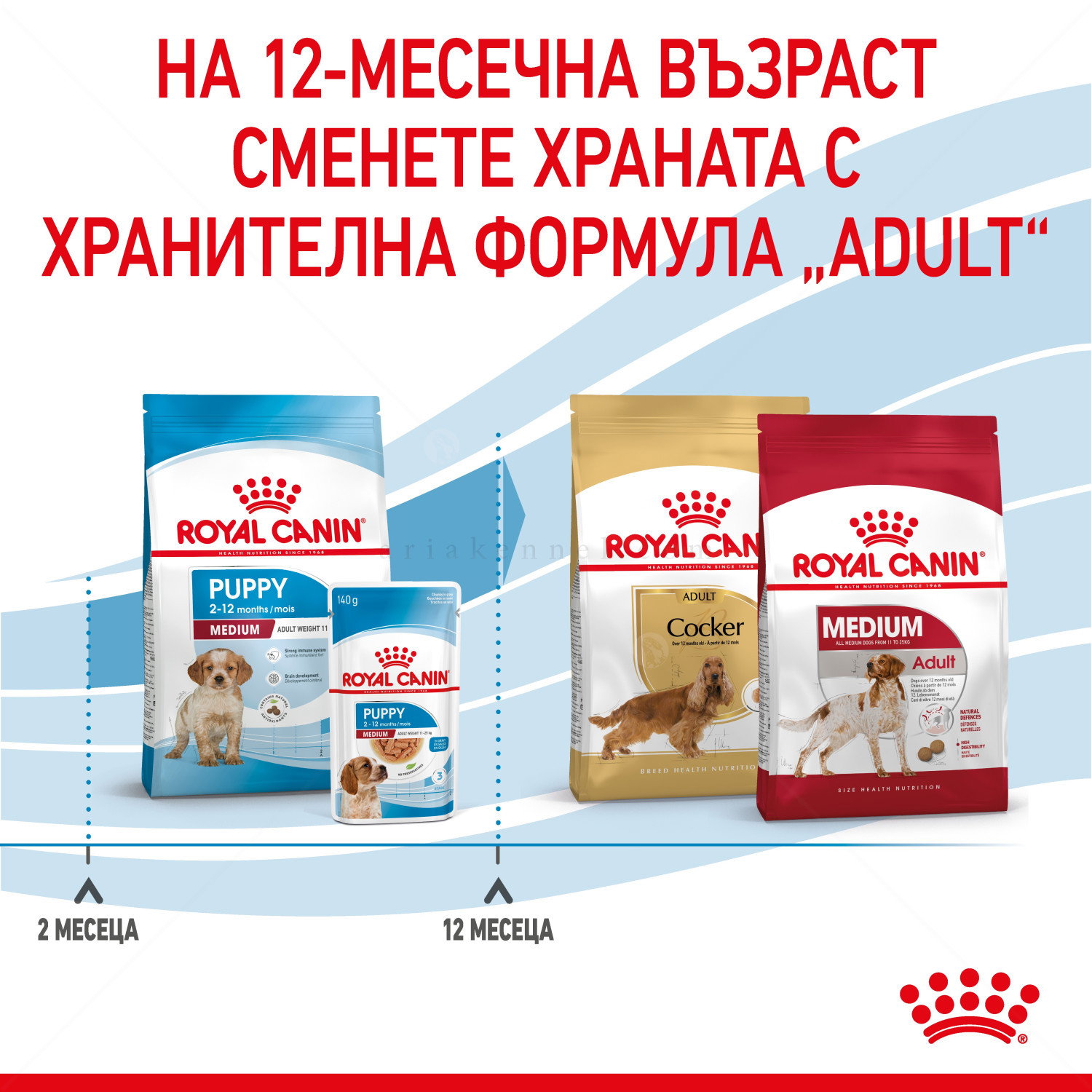 ROYAL CANIN Medium Puppy - 3 кг