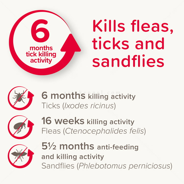 Противопаразитна каишка за куче BEAPHAR Canishield 48 см