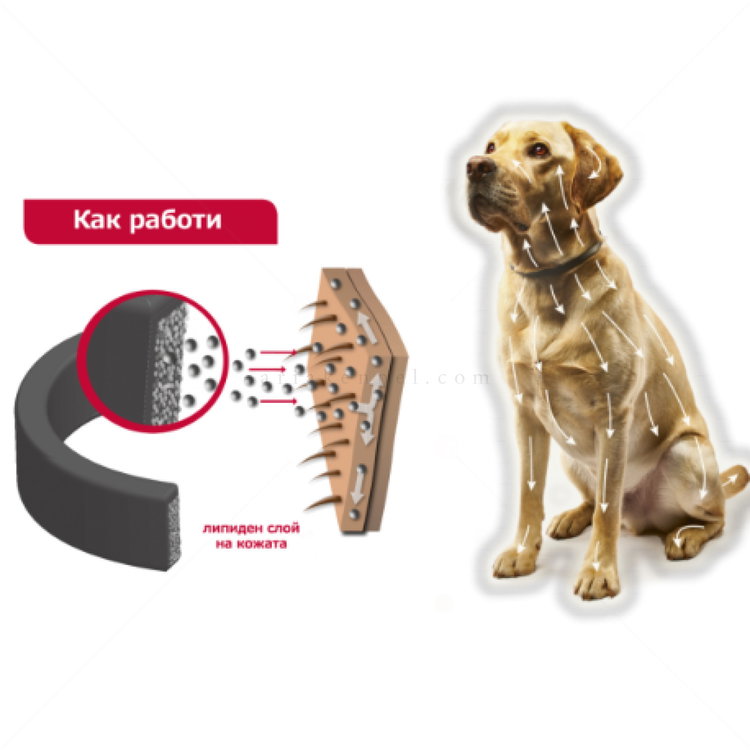 Противопаразитна каишка за куче BEAPHAR Canishield 48 см